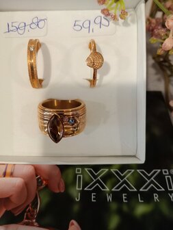 ixxxi ring maat 20 optie2