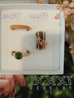 ixxxi ring  maat 19